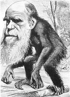 CHARLES DARWIN: Kunne neppe vite hva han skulle forårsake av debatt i VIF-garderoben 2011.
